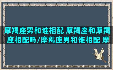 摩羯座男和谁相配 摩羯座和摩羯座相配吗/摩羯座男和谁相配 摩羯座和摩羯座相配吗-我的网站